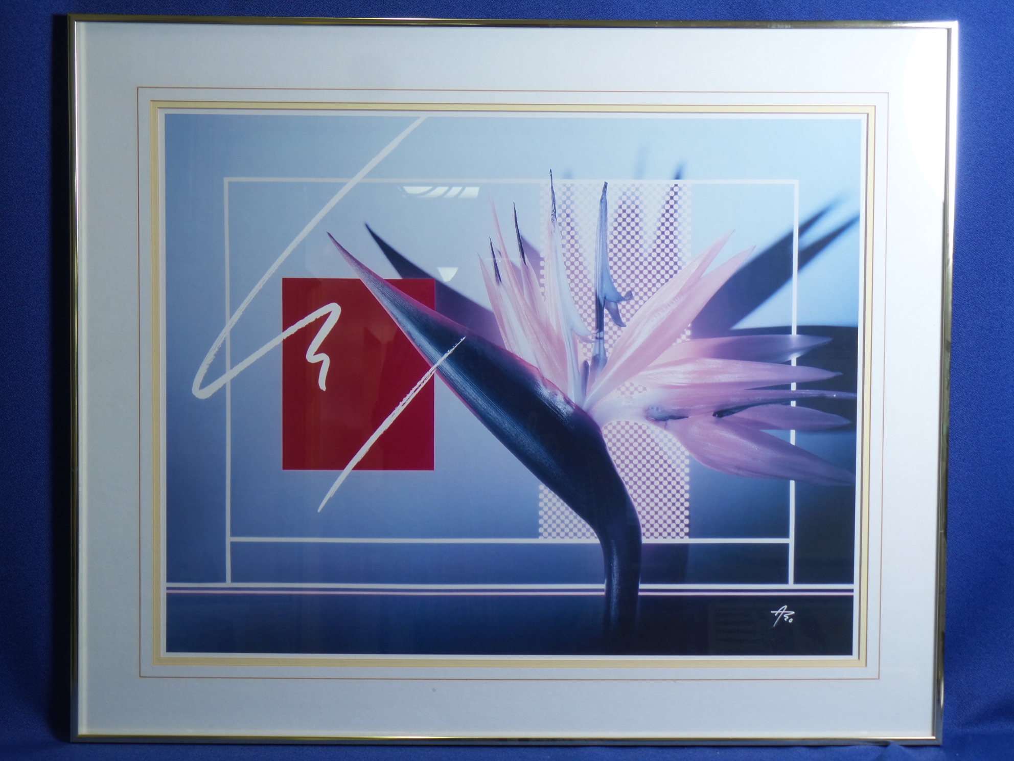 Framed Bird of Paradise Wall Art Print, 34 x 28 in. - Allsold.ca - Buy